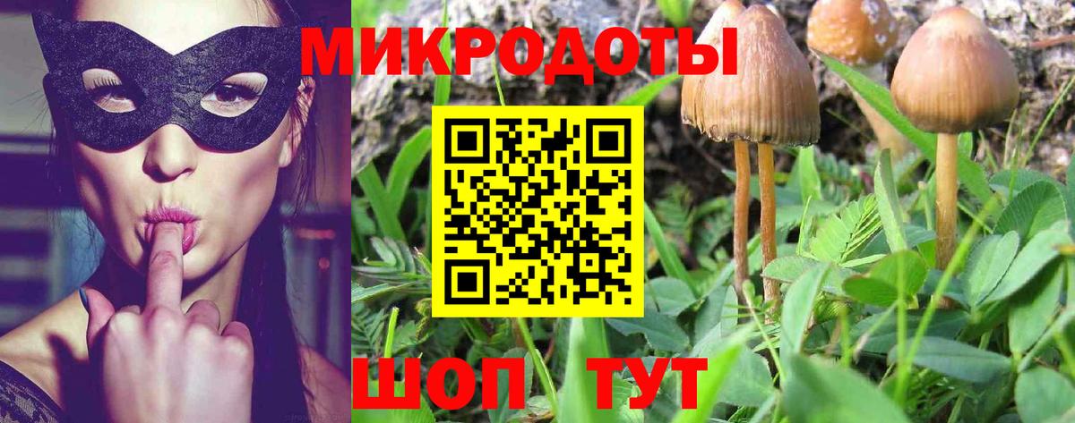Псилоцибиновые грибы GOLDEN TEACHER Азов