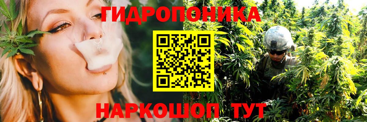 Шишки марихуана сатива Азов